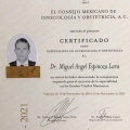 Ampliar imagen: certificate 2