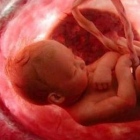 Dr. Francisco Fabricio Santoyo Huerta