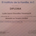 Ampliar imagen: certificate 26