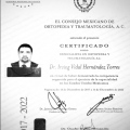 Ampliar imagen: certificate 1