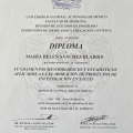 Ampliar imagen: certificate 7