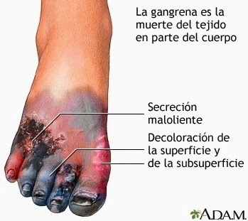 José Roberto Suárez-3