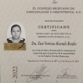 Ampliar imagen: certificate 10