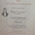 Ampliar imagen: certificate 2