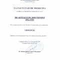 Ampliar imagen: certificate 11