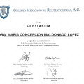 Ampliar imagen: certificate 13