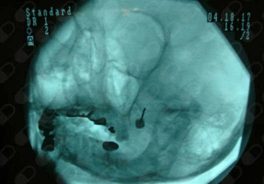 Jorge García Andreu-3