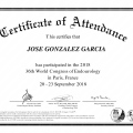 Ampliar imagen: certificate 3