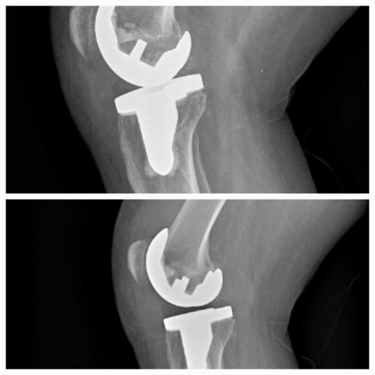 Clarita Araujo Pérez-5