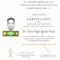 Ampliar imagen: certificate 2