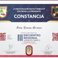 Ampliar imagen: certificate 11
