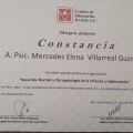 Ampliar imagen: certificate 8