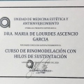 Ampliar imagen: certificate 6