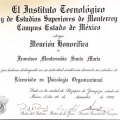 Ampliar imagen: certificate 6