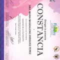 Ampliar imagen: certificate 5