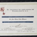 Ampliar imagen: certificate 36