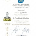 Ampliar imagen: certificate 2