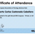 Ampliar imagen: certificate 4