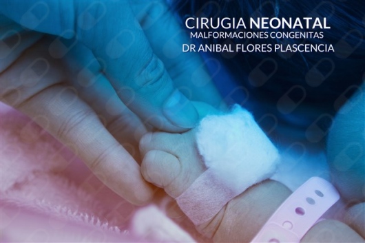 Anibal Enrique Flores Plascencia-5