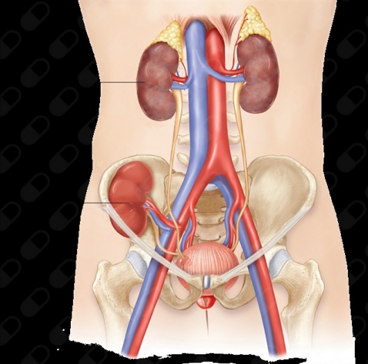 Emmanuel Ernesto Perez Granados-5