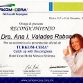 Ampliar imagen: certificate 13