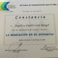 Ampliar imagen: certificate 10