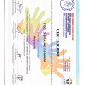 Ampliar imagen: certificate 28