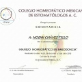 Ampliar imagen: certificate 11