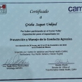 Ampliar imagen: certificate 7