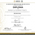 Ampliar imagen: certificate 3