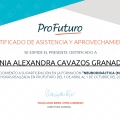 Ampliar imagen: certificate 15