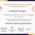 Ampliar imagen: certificate 27