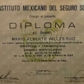 Ampliar imagen: certificate 13