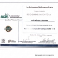 Ampliar imagen: certificate 7