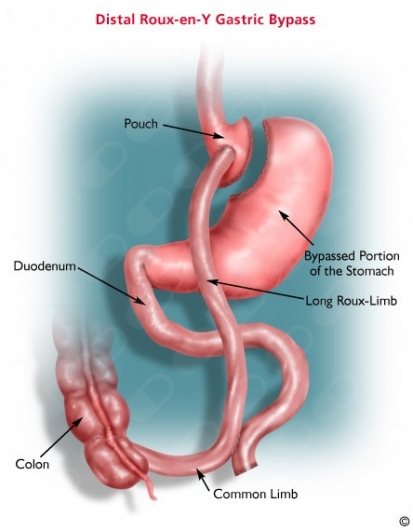 Jose Antonio Diaz Villalobos-2