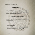 Ampliar imagen: certificate 10