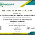 Ampliar imagen: certificate 23