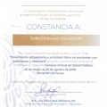 Ampliar imagen: certificate 7