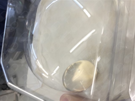 Alejandro Garcia Morua-5