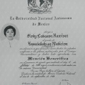 Ampliar imagen: certificate 3