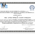 Ampliar imagen: certificate 7