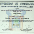 Ampliar imagen: certificate 43