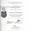 Ampliar imagen: certificate 6
