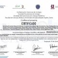 Ampliar imagen: certificate 5