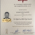 Ampliar imagen: certificate 1