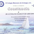 Ampliar imagen: certificate 78
