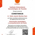 Ampliar imagen: certificate 7