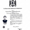 Ampliar imagen: certificate 3
