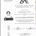 Ampliar imagen: certificate 3