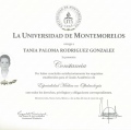 Ampliar imagen: certificate 3
